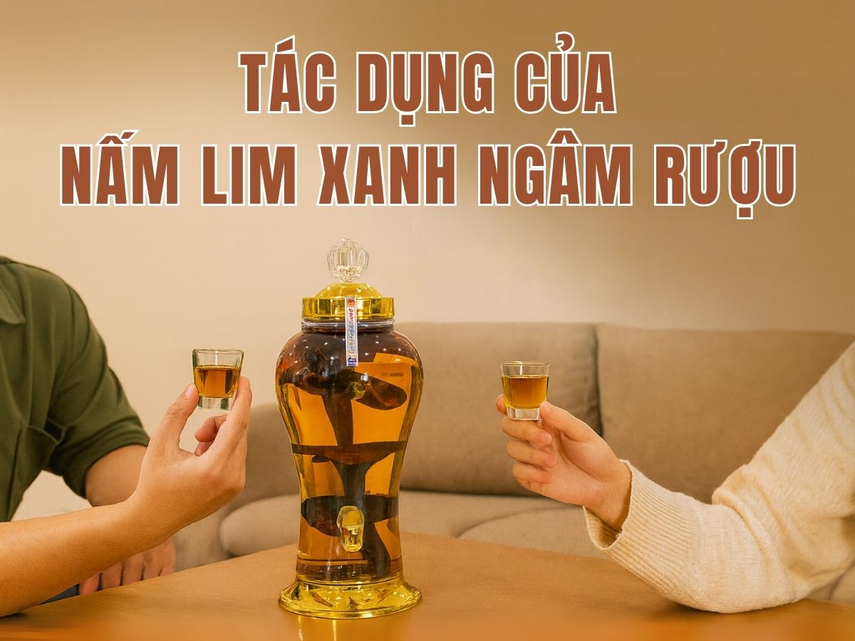 rượu nấm lim xanh c&oacute; t&aacute;c dụng g&igrave;